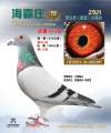 图片暂时未上传