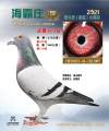 图片暂时未上传