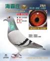图片暂时未上传