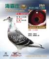 图片暂时未上传