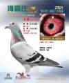 图片暂时未上传