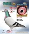图片暂时未上传