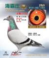 图片暂时未上传