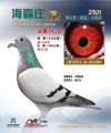图片暂时未上传