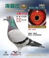 图片暂时未上传