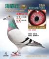 图片暂时未上传