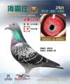 图片暂时未上传