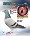图片暂时未上传