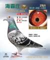 图片暂时未上传