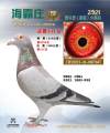 图片暂时未上传