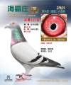 图片暂时未上传