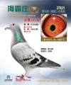 图片暂时未上传
