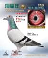 图片暂时未上传