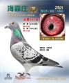 图片暂时未上传