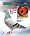 图片暂时未上传