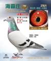 图片暂时未上传