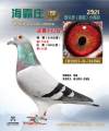 图片暂时未上传