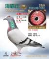 图片暂时未上传