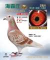 图片暂时未上传