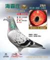图片暂时未上传