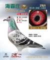图片暂时未上传