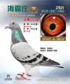 图片暂时未上传