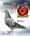 图片暂时未上传