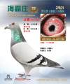 图片暂时未上传