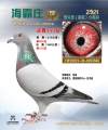 图片暂时未上传