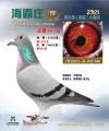 图片暂时未上传