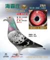 图片暂时未上传