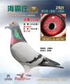 图片暂时未上传