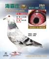 图片暂时未上传