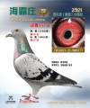 图片暂时未上传