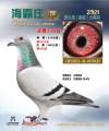 图片暂时未上传