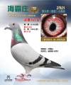 图片暂时未上传