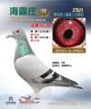 图片暂时未上传