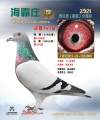 图片暂时未上传