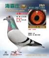 图片暂时未上传