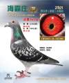 图片暂时未上传