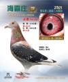 图片暂时未上传
