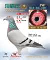 图片暂时未上传
