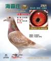 图片暂时未上传