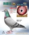 图片暂时未上传
