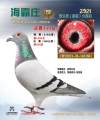 图片暂时未上传