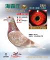 图片暂时未上传