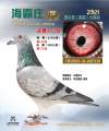 图片暂时未上传