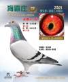 图片暂时未上传