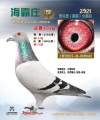 图片暂时未上传