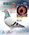 图片暂时未上传